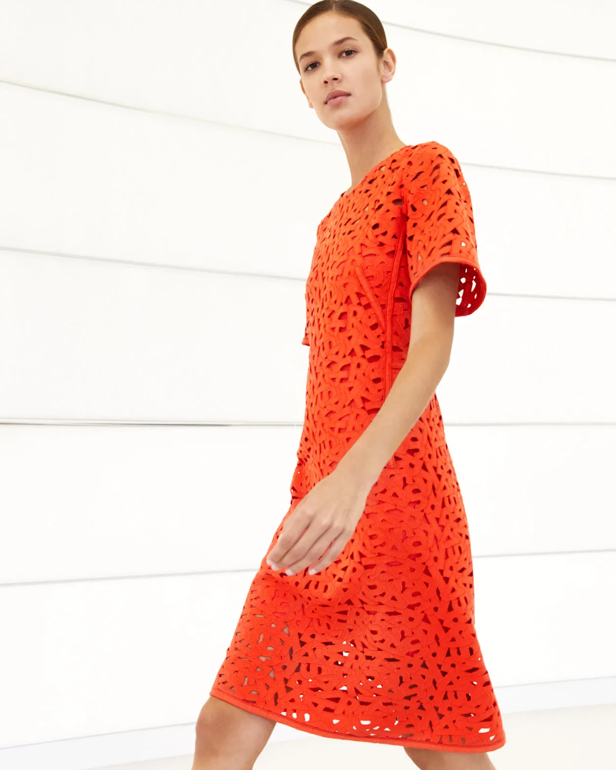 Second Glance Embroidery Sheath Dress 