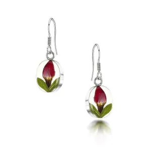 Shrieking Violet Real Flower Rose Silver Drop Earrings RE04